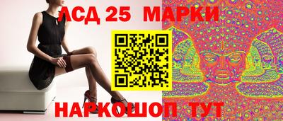 молекула духа Владимир