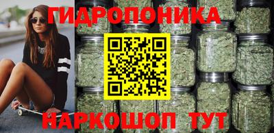 jwh Боровичи