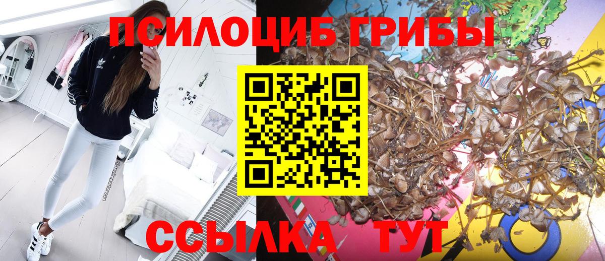 Псилоцибиновые грибы MAGIC MUSHROOMS Белгород